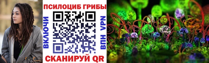Купить  Архангельск  Галлюциногенные грибы Psilocybe 